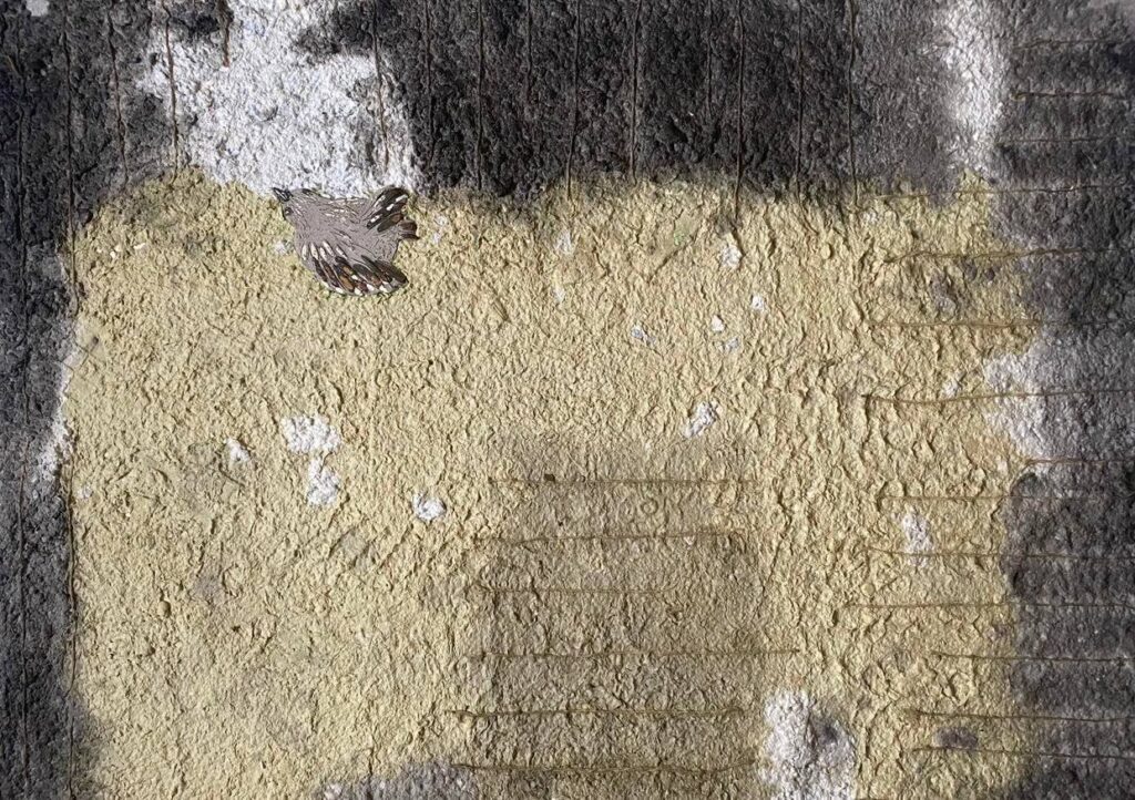 «Сімейні цінності – Родинні зв’язки»: «Разом»